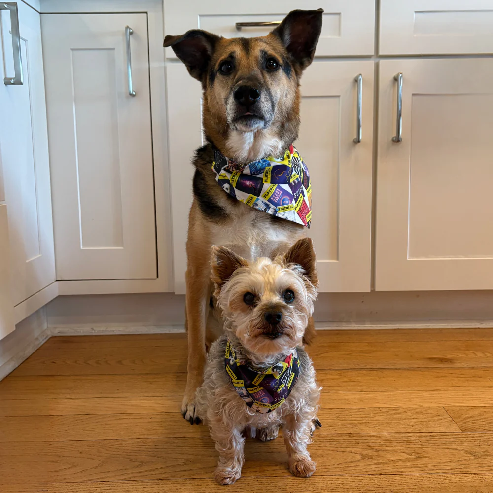 Playbill Pet Bandana - Image 10