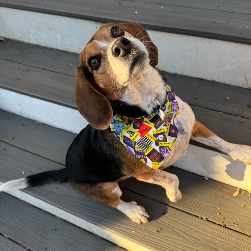 Playbill Pet Bandana - Image 12