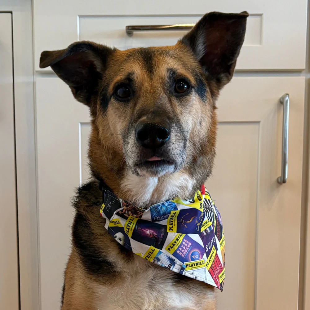 Playbill Pet Bandana - Image 5