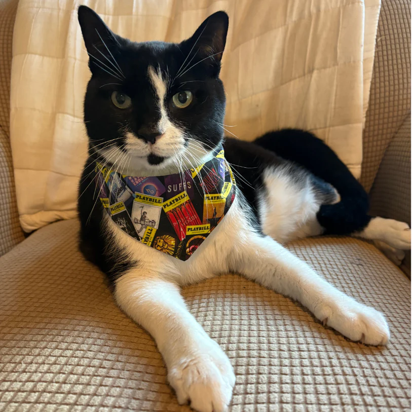 Playbill Pet Bandana - Image 9